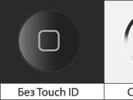 Не удается завершить настройку Touch ID на iPhone, что делать?